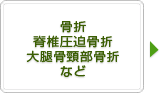 骨折 脊椎圧迫骨折 大腿骨頸部骨折 など
