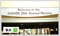 ASBMR 28th Annual Meeting official program,2006.